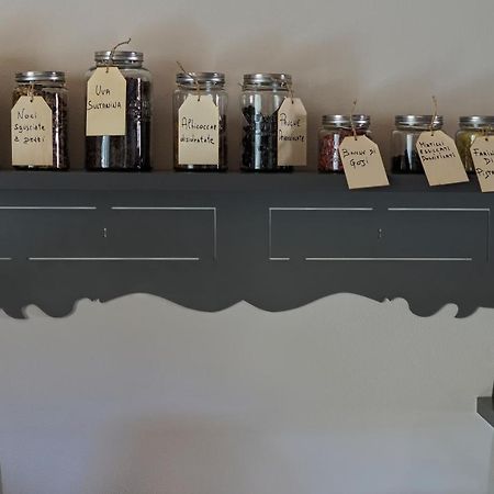 كاستيلنوفو دي فال دي سيسينا B&B La Taccola المظهر الخارجي الصورة