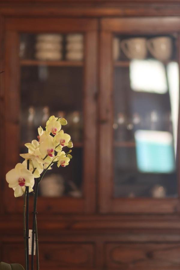 كاستيلنوفو دي فال دي سيسينا B&B La Taccola المظهر الخارجي الصورة